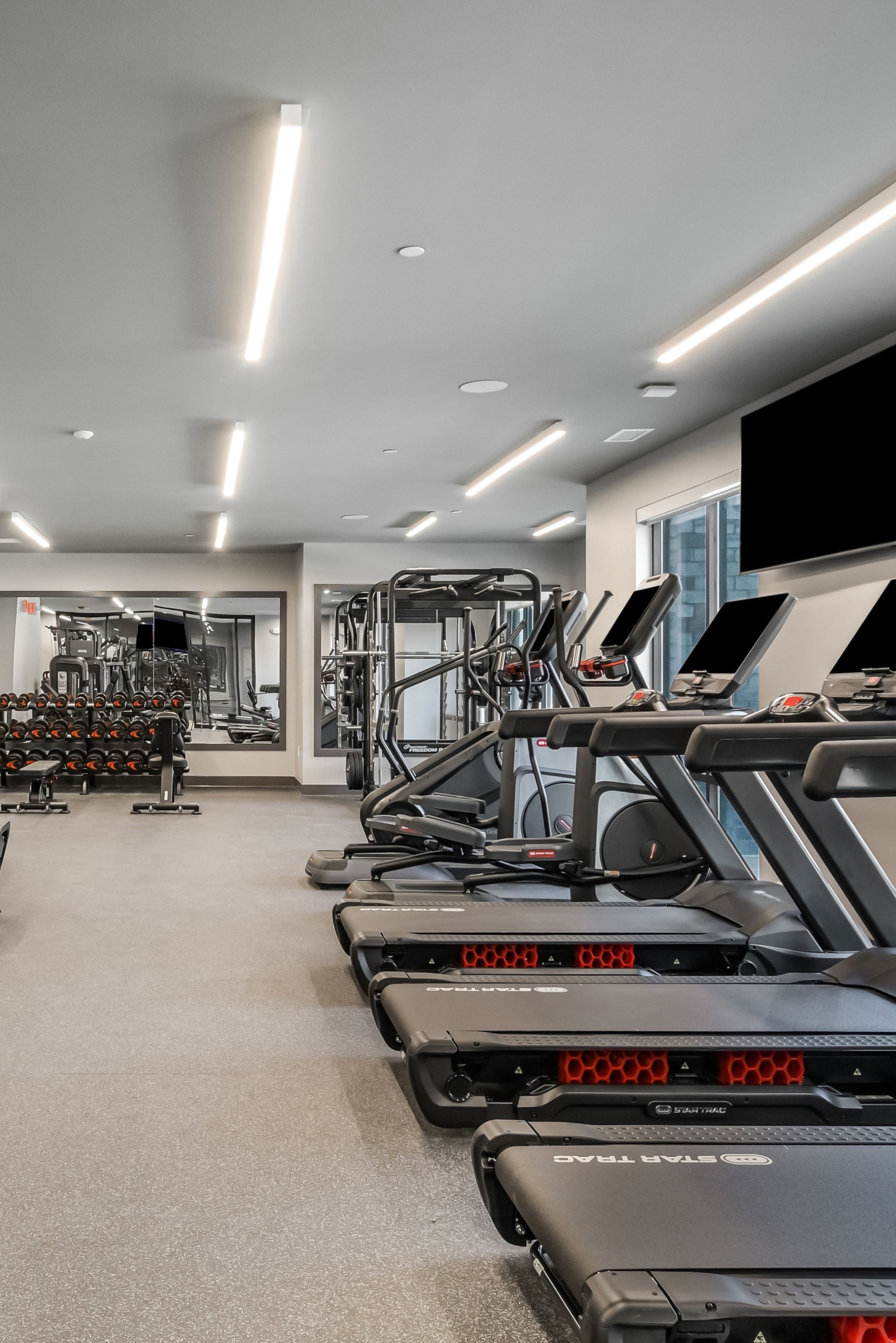 cardioequipment